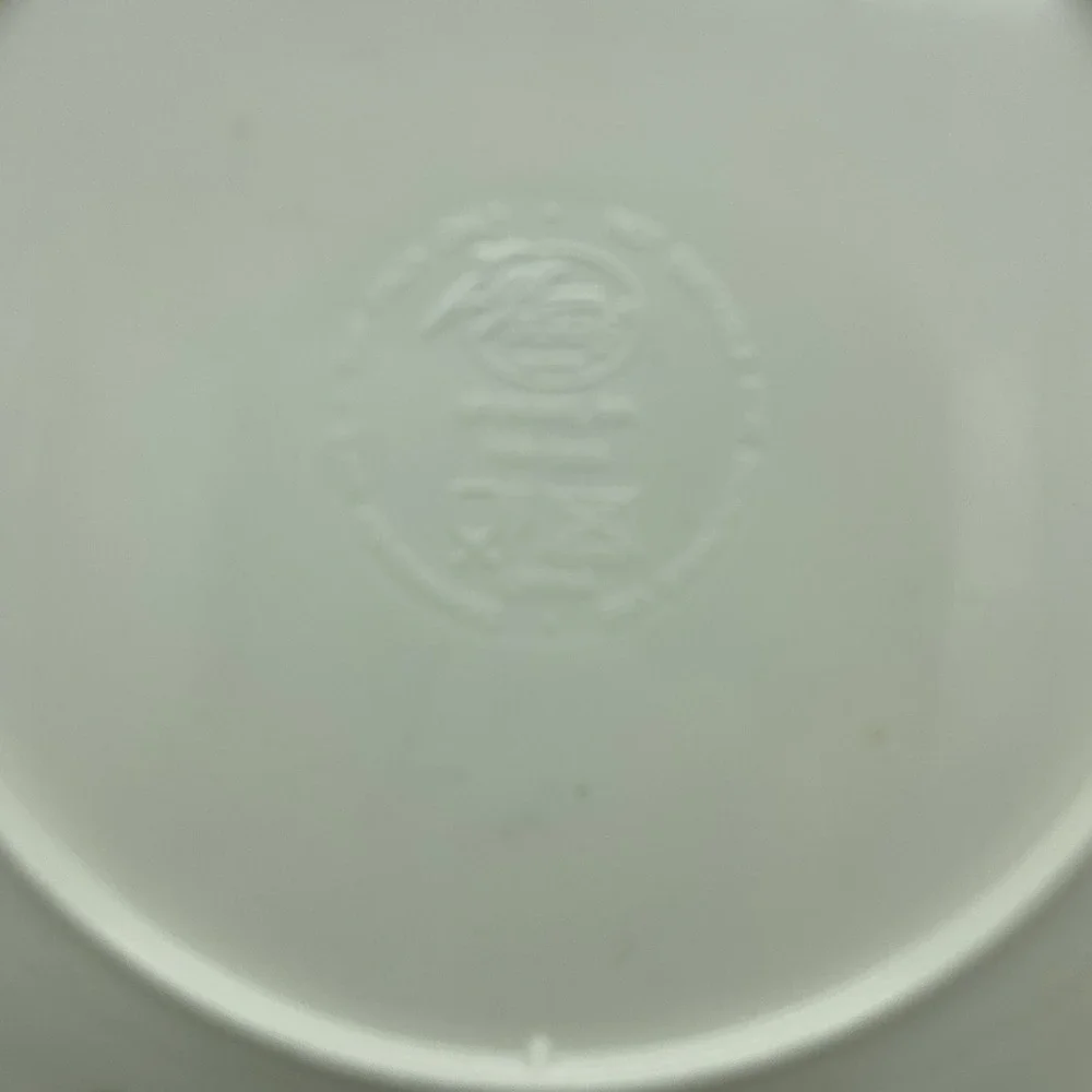 Zak Designs In‎ The Garden Watering Can Melamine Dinner Plates 9.5
